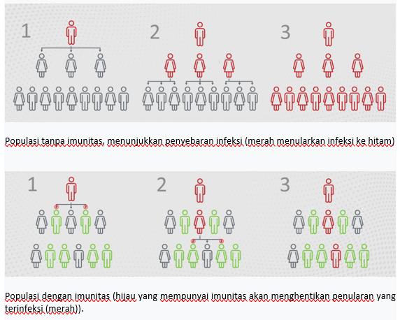 HERD IMMUNITY