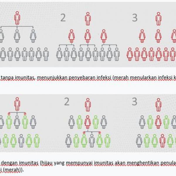 HERD IMMUNITY