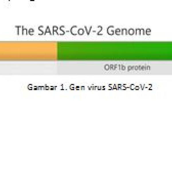 VARIAN VIRUS SARS CoV-2