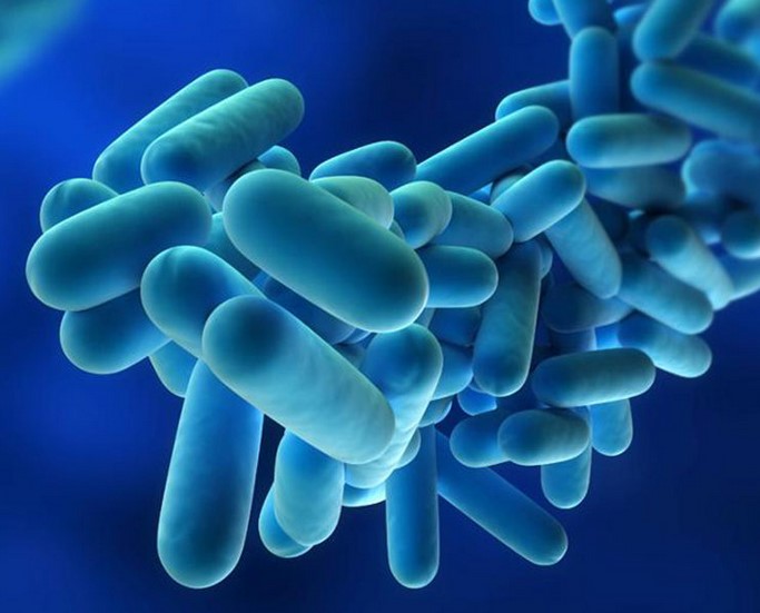 LEGIONELLOSIS