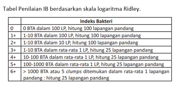 Patogenesis dan diagnosis Mycobacterium leprae