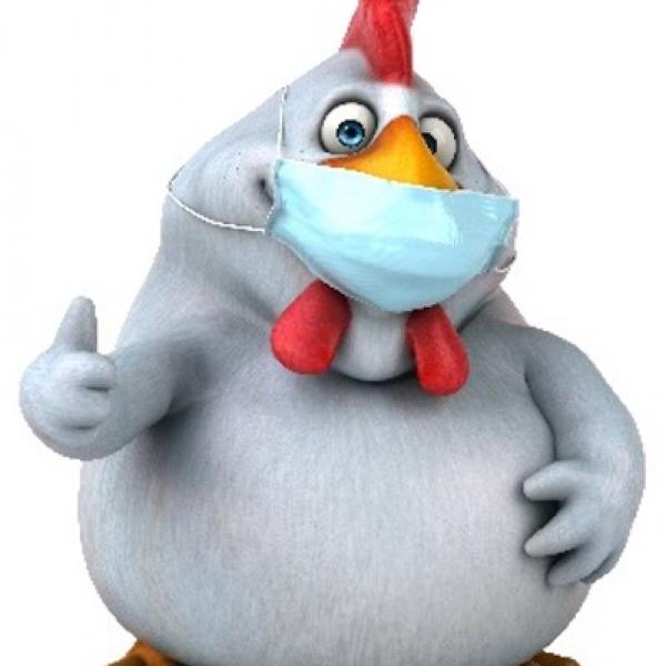 Infeksi manusia oleh virus flu burung A(H5)