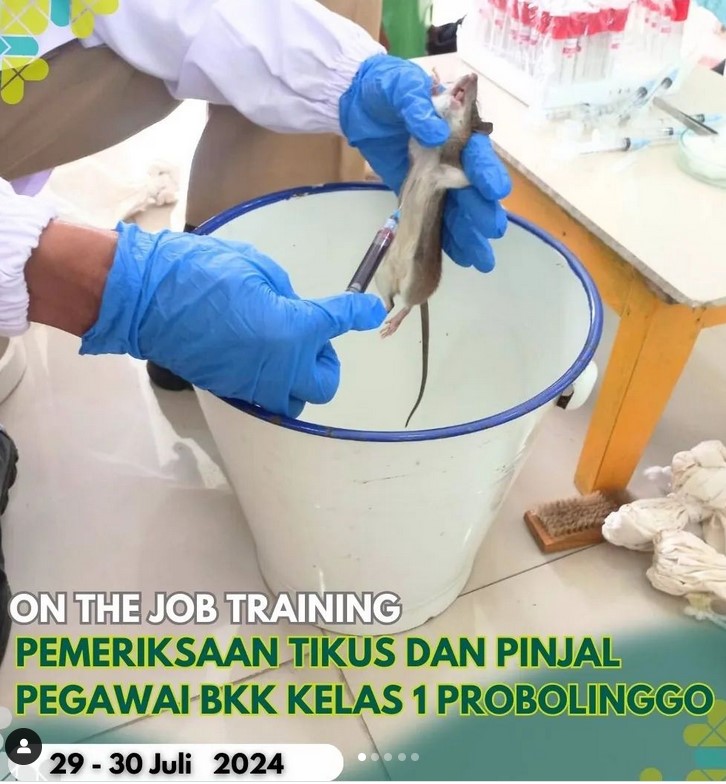 On The Job Training (OJT)