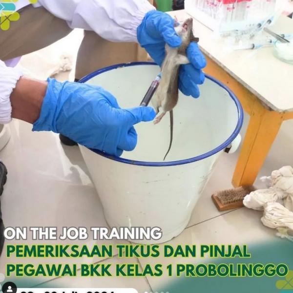 On The Job Training (OJT)