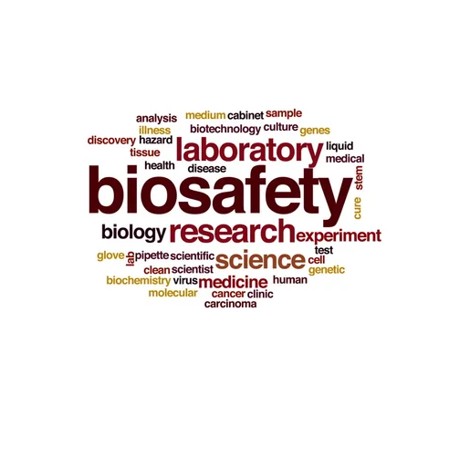 Bekerja aman di Biosafety Cabinet (BSC)